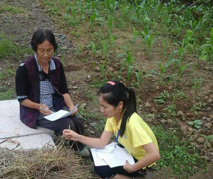 17名大学生暑期调研农作物秸秆利用现状 17名大学生暑期调研农作物秸秆利用现状