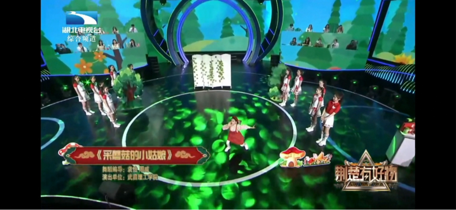 武昌理工学院师生多个原创舞蹈作品接连在湖北电视台播出